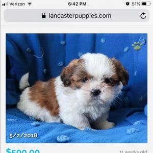 Meet your Posher, Maven